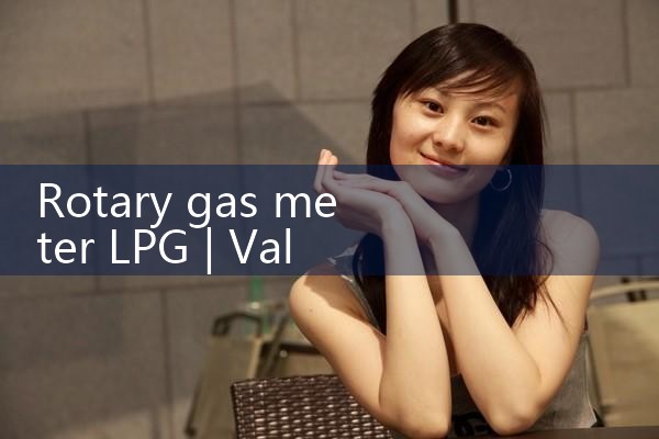rotary gas meter LPG|arduino flow meter