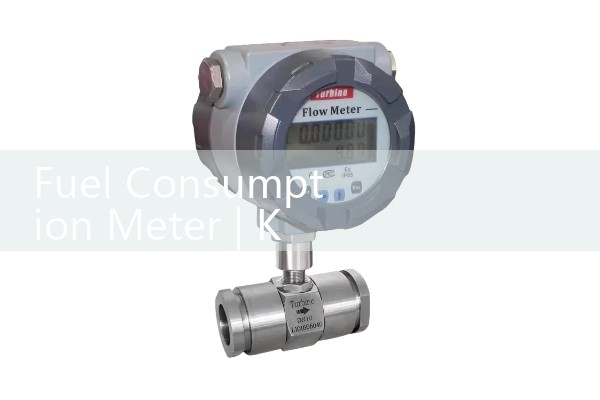 fuel consumption meter