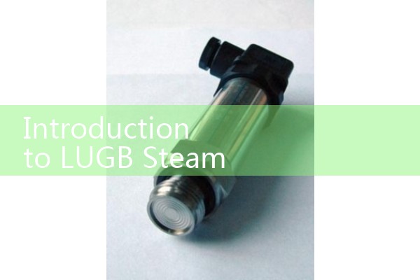 Lugb steam flowmeter
