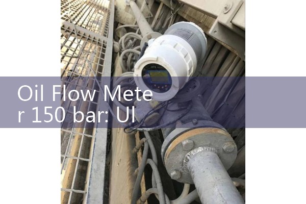 Oil Flow Meter 150 bar: Ultimate Safety Benchmarks for Deep Well Injection Lines