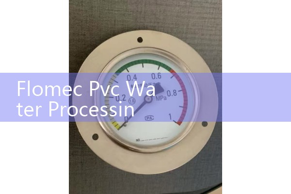 Flomec Pvc Water Processing and Irrigation Flow Meter Tm20nq9gmb Product Specifications