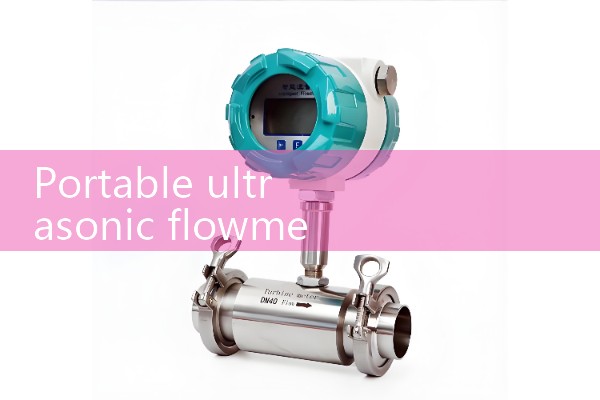 Portable ultrasonic flowmeter