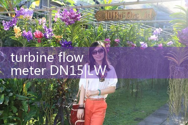 turbine flow meter DN15|vortex flow meter