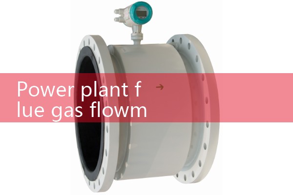 Power plant flue gas flowmeter