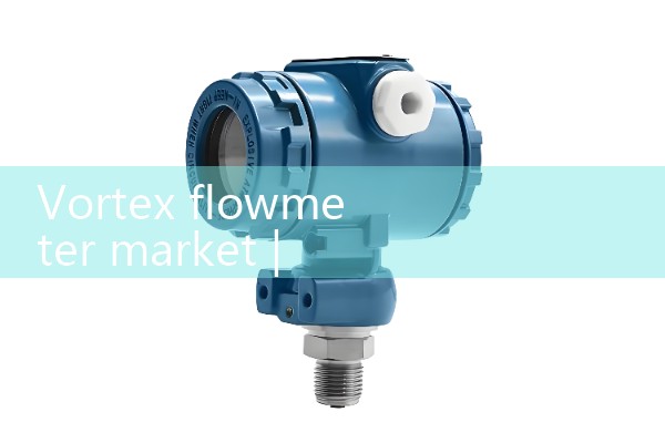 Vortex flowmeter market