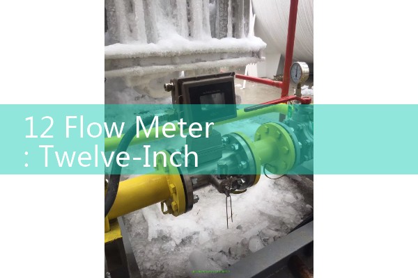 12 Flow Meter: Twelve-Inch Flanged Wastewater Effluent Management Systems