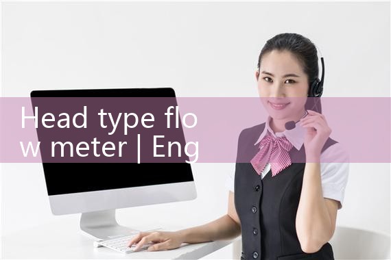 head type flow meter|coriolis mass flow meter