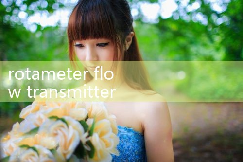 rotameter flow transmitter|vortex flow meter