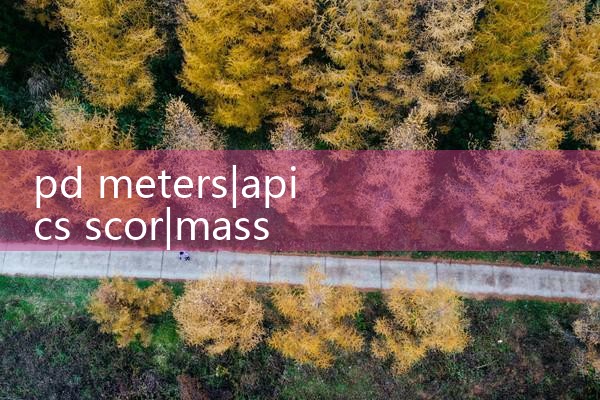 pd meters|mass flowmeter