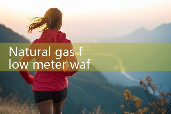 natural gas flow meter wafer type|arduino flow meter
