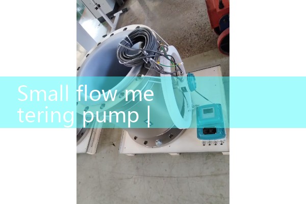 Small flow metering pump