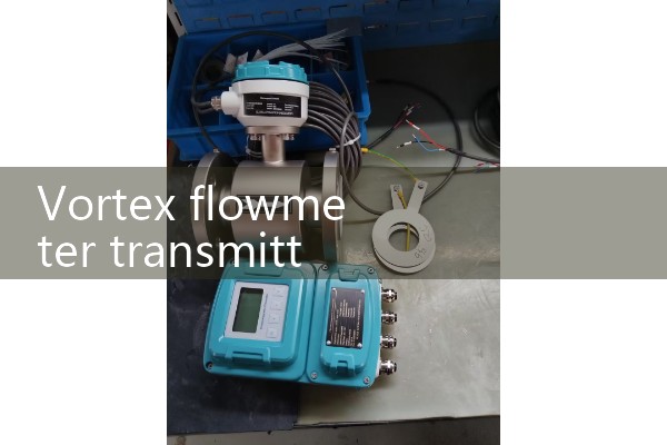 paddle flow meter