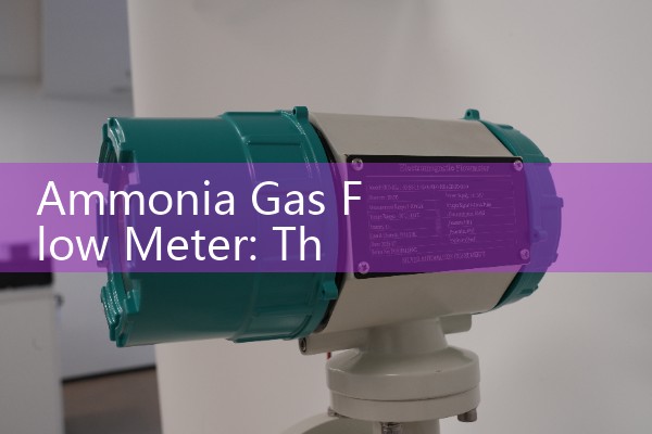 Ammonia Gas Flow Meter: Thermal Mass Systems for Harsh Chemical Venting