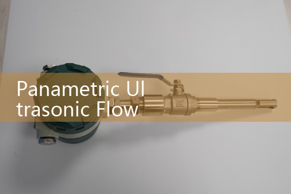 Panametric Ultrasonic Flow Meter: Sourcing Transit-Time Pipeline Transducers