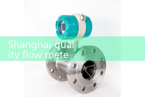 Shanghai quality flowmeter manufacturer in stock