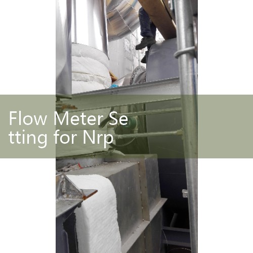 Flow Meter Setting for Nrp Procedures: Medical Gas Safety Guidelines for Delivery Systems