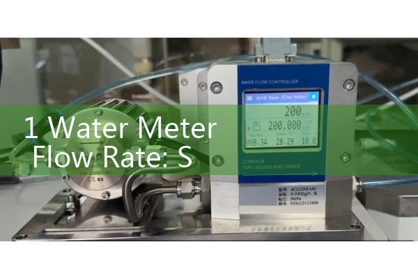 1 Water Meter Flow Rate: Standard One-Inch Residential Utility Main Capacity