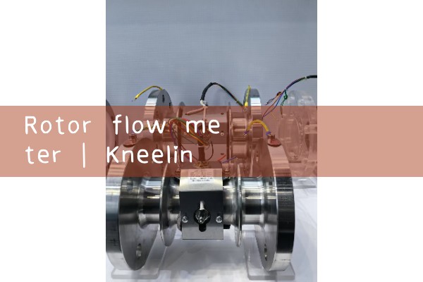 rotor flow meter|mass flow meter