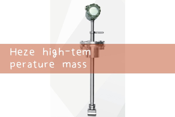 Heze High Temperature Mass Flow Meter Manufacturer