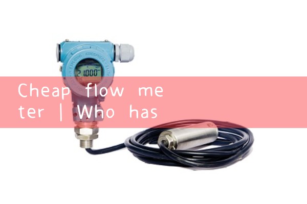 cheap flow meter|mass flow meter